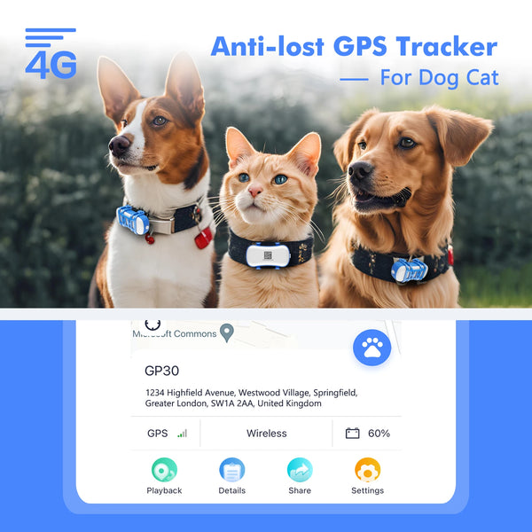 Spot® Pet GPS Tracker - Real Time Location Tracking - Waterproof Pet GPS Tracker - For Dogs & Cats